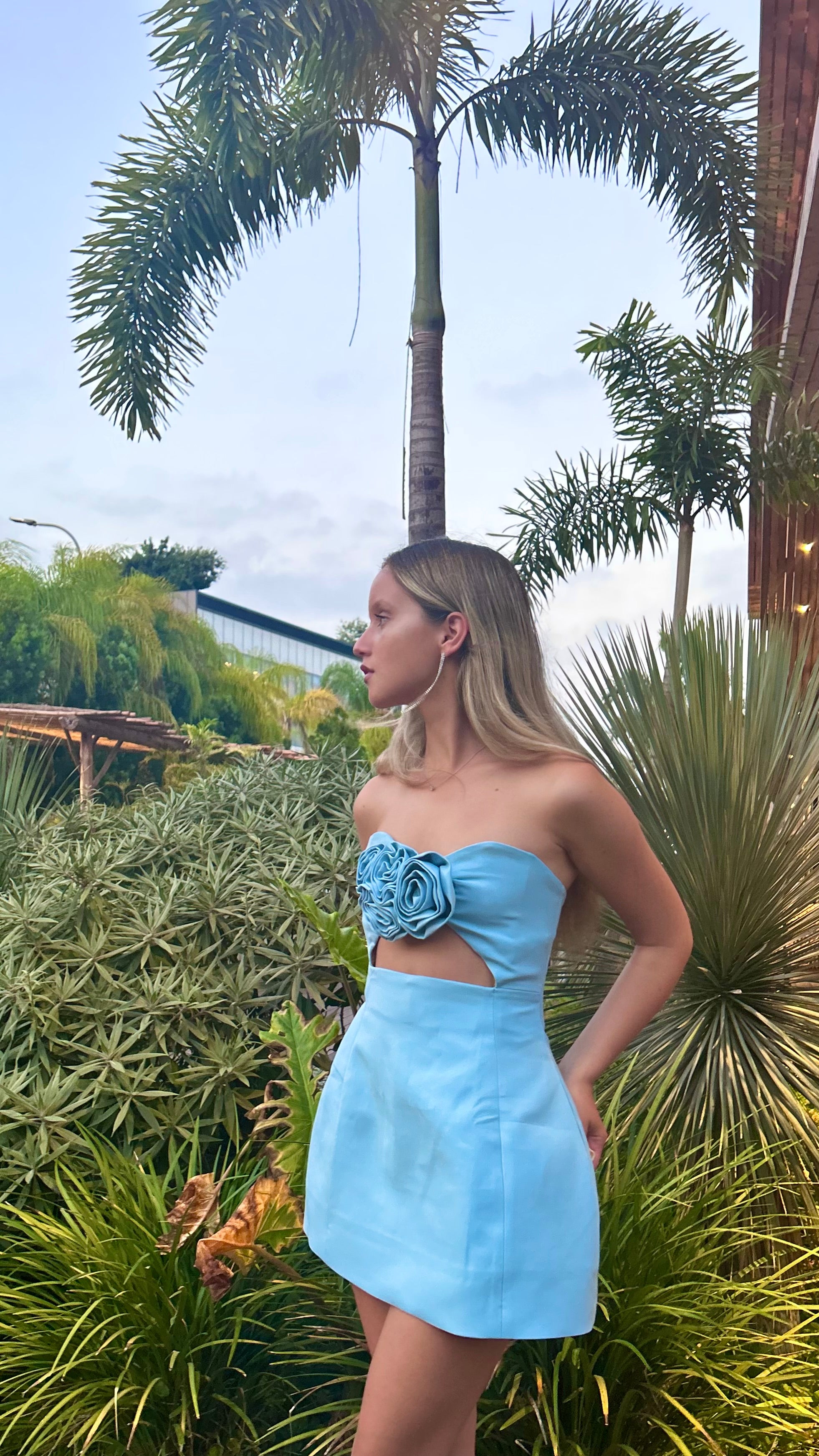 Haley blue dress